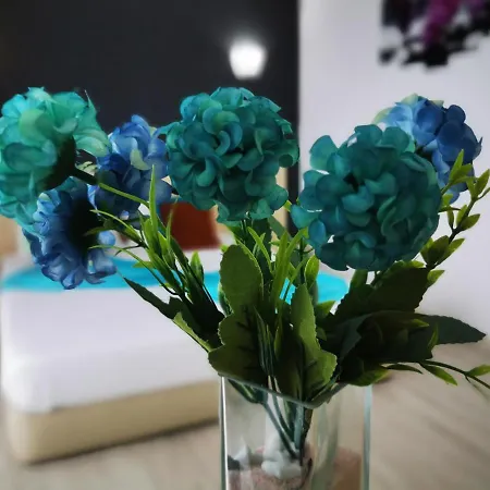 Ryanna Pe Plaja Belona