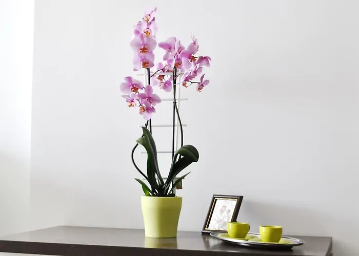 Ryanna Pe Plaja Belona بيت ضيافة إيفوري نورد